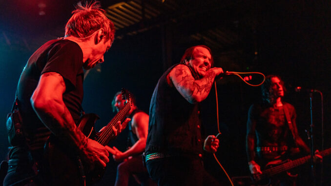 header-alesana-cats cradle-carrboro-nc-20240620-mpaquin