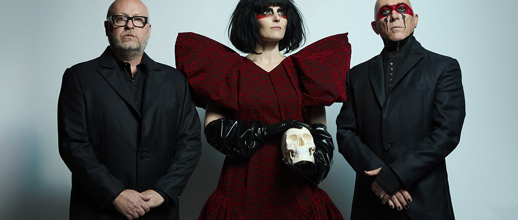 Photo by Travis Shinn