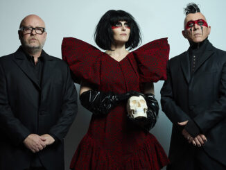 Photo by Travis Shinn