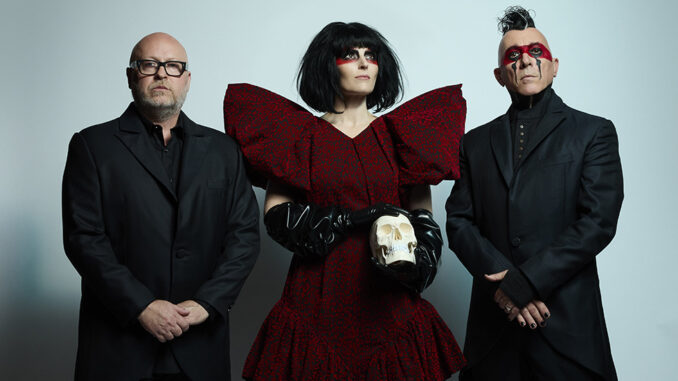 Photo by Travis Shinn